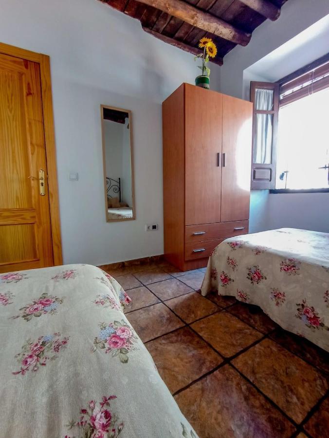 Flores, Disfruta En El Centro De *